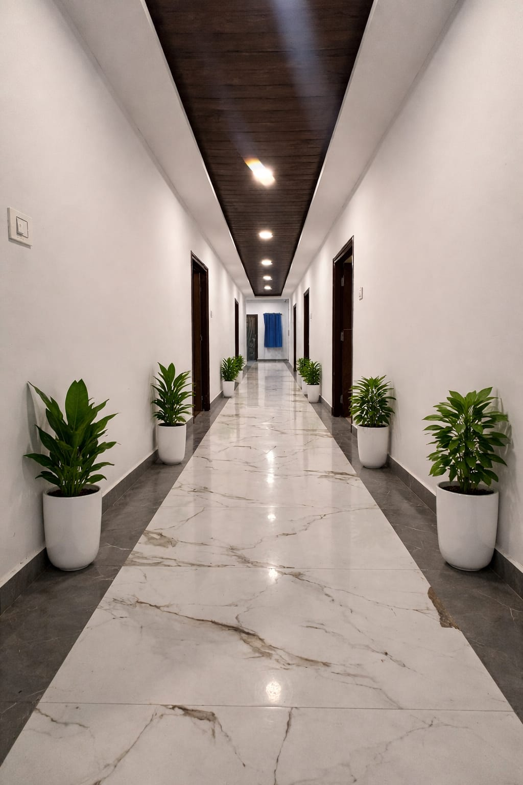 Marble corridor with wooden ceiling and green plants